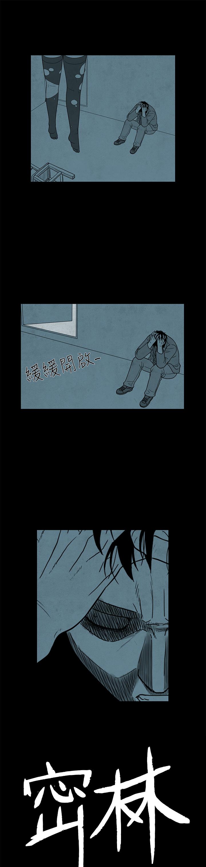 密林 第17章 第1页