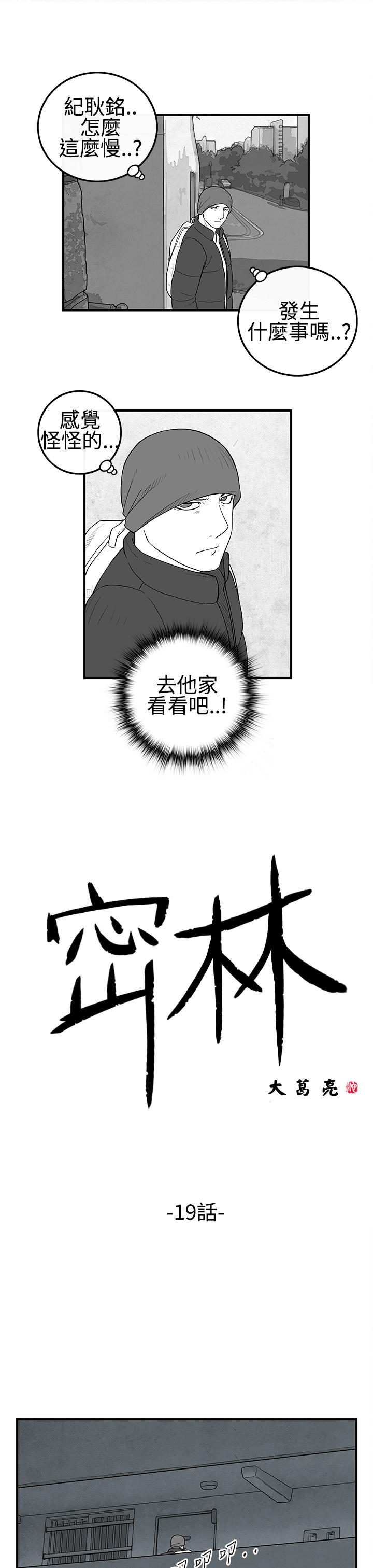密林 第19章 第1页