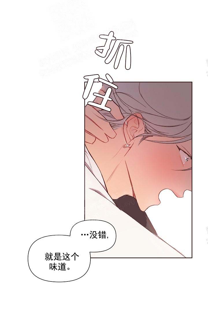 奇妙玩具来袭（完结） 16话 第19页