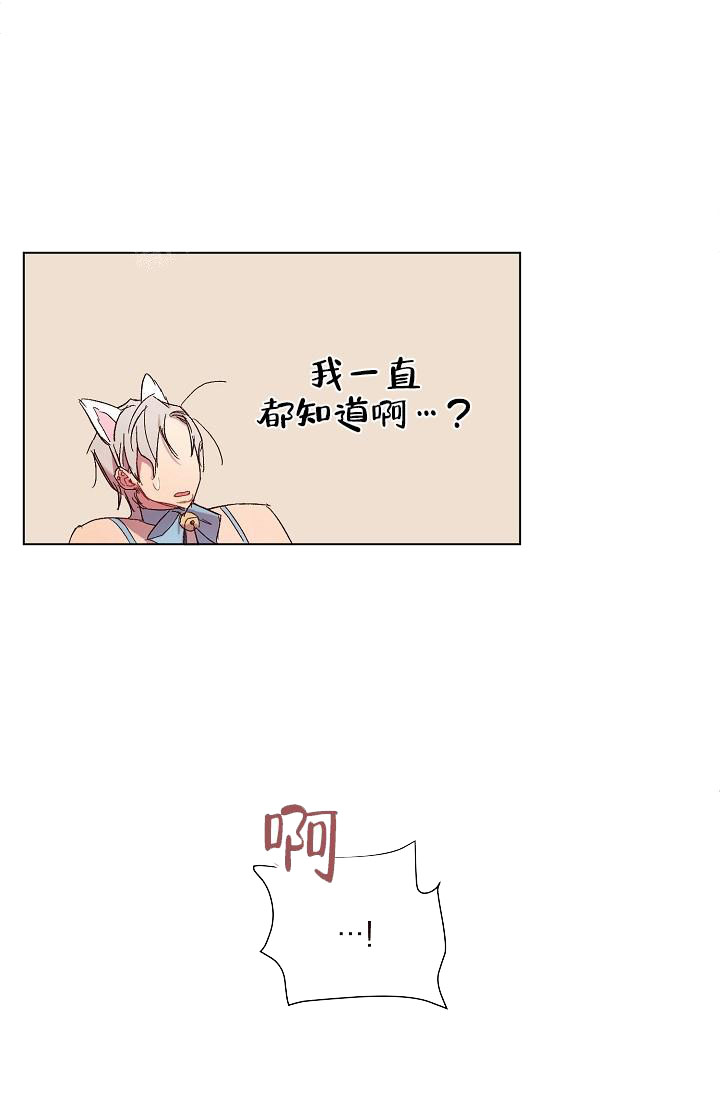 奇妙玩具来袭（完结） 20话 第12页