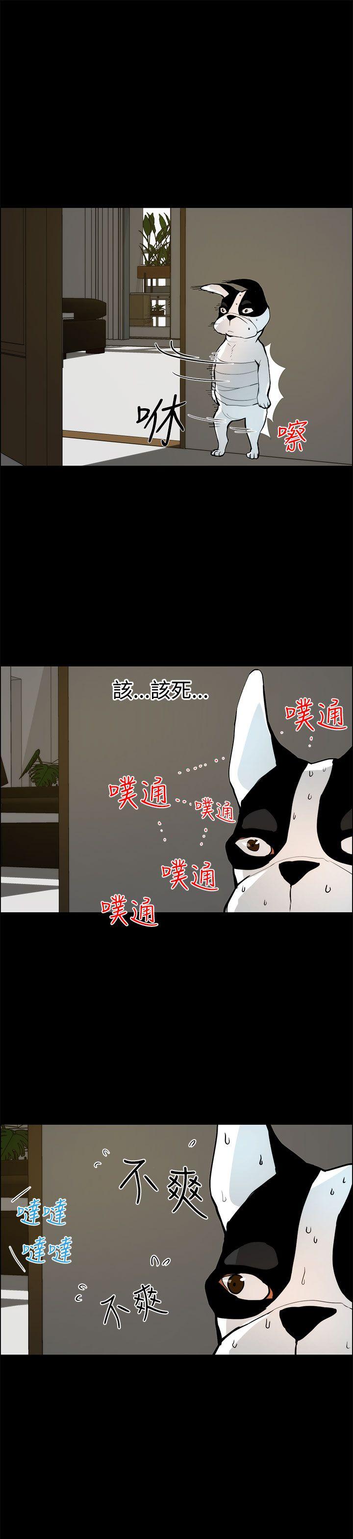 变成狗的男人(物种转换) 第19話 第11页