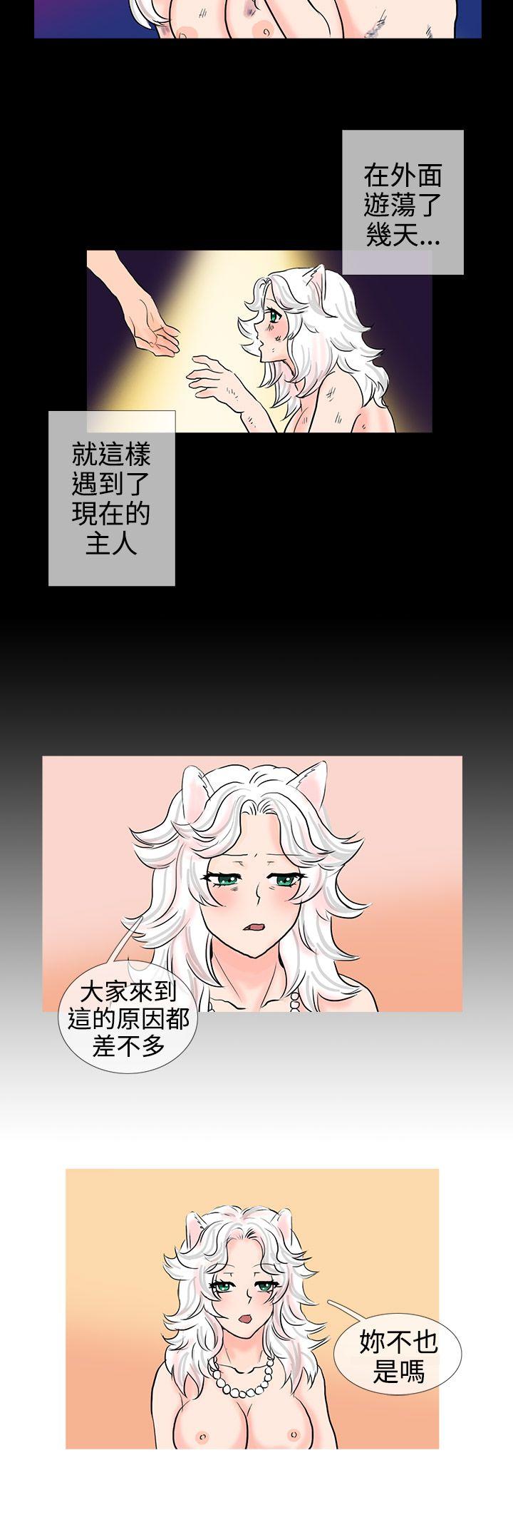 小野猫驯服手册 第11話 第9页