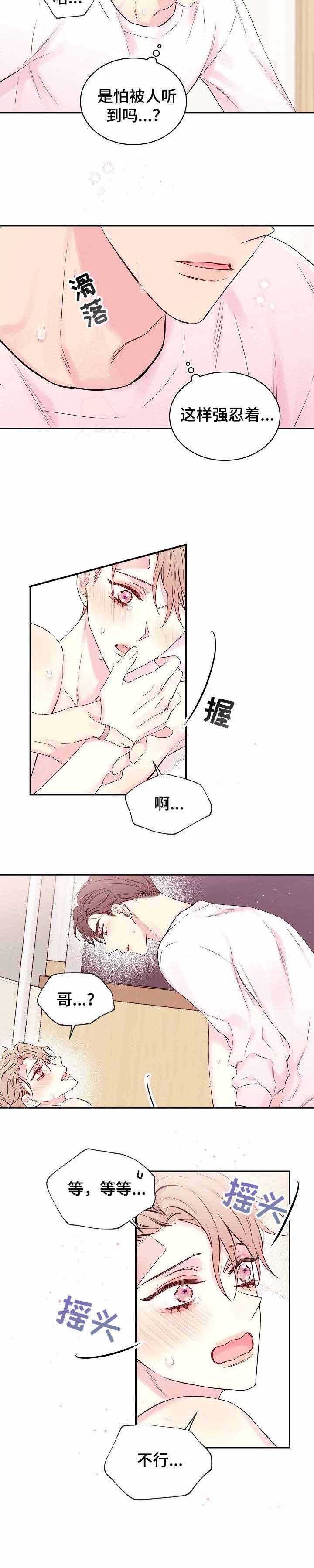 星光下的吻 12话 第9页