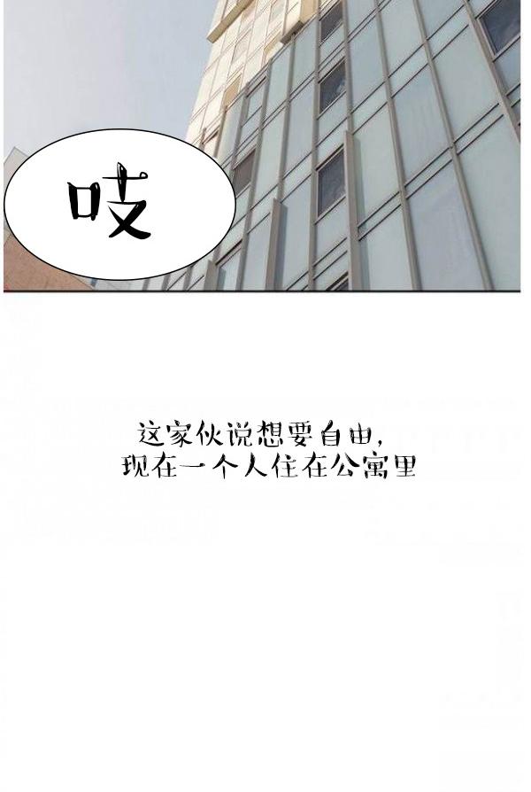 完美的飼養 第1話 第21页