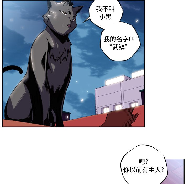 少年的新星 第 2 章 第36页