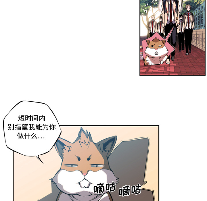 少年的新星 第 3 章 第19页