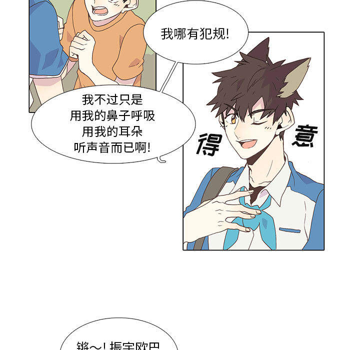 野性之城 第 1 章 第11页
