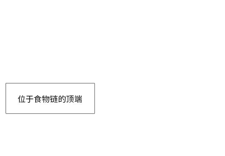 野性之城 第 1 章 第1页
