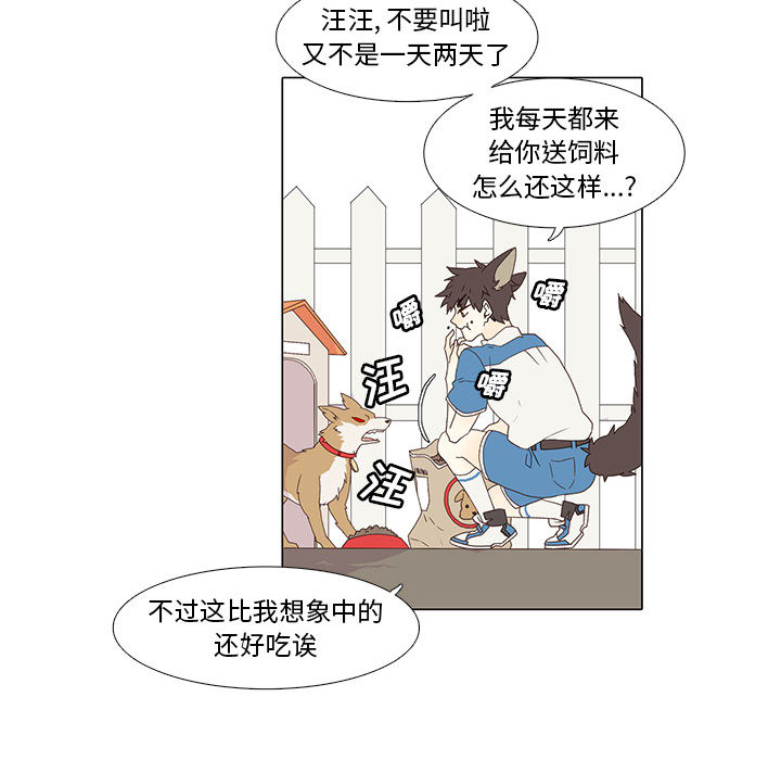 野性之城 第 1 章 第25页