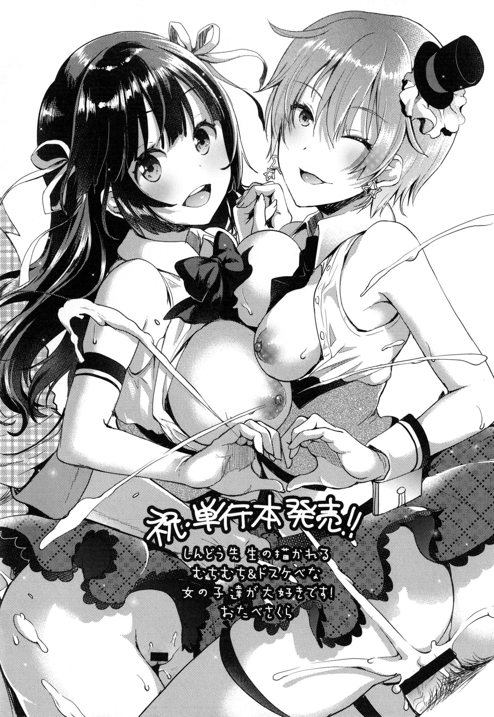 嬢様とメイドのみだらな+ とらのあなリーフレット 嬢様とメイドのみだらな+ とらのあなリーフレット 第22页
