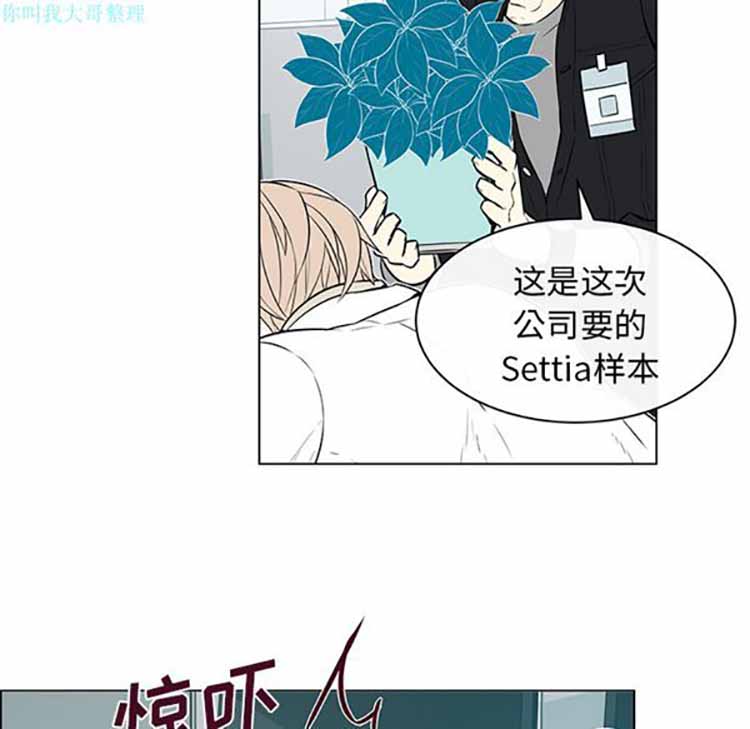 Settia（BL） 第13话 第41页