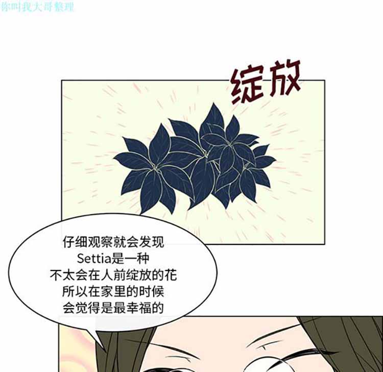 Settia（BL） 第17话 第22页