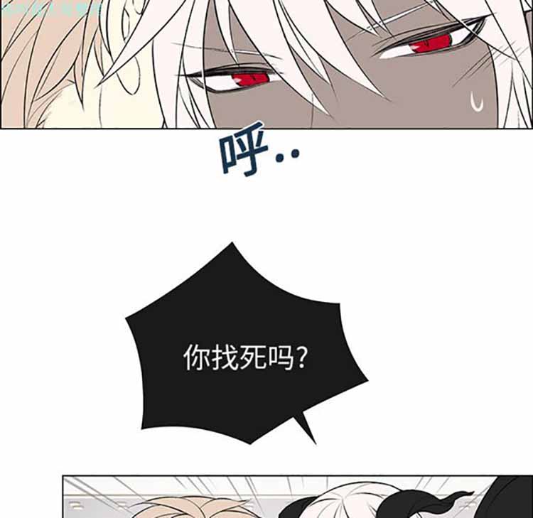 Settia（BL） 第4话 第34页