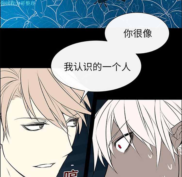 Settia（BL） 第4话 第51页