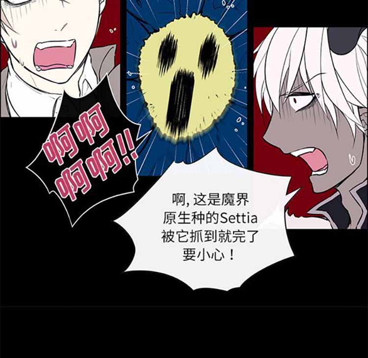 Settia（BL） 第24话 第7页