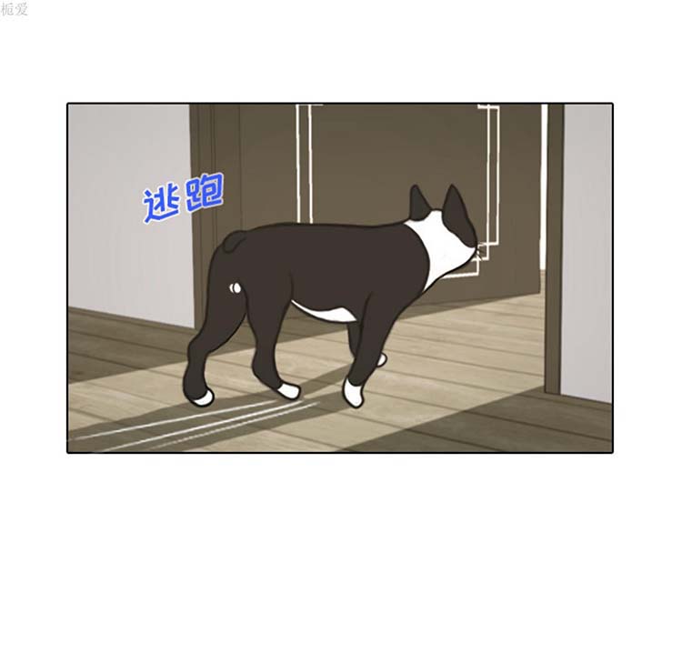手中的世界 第17话 第25页
