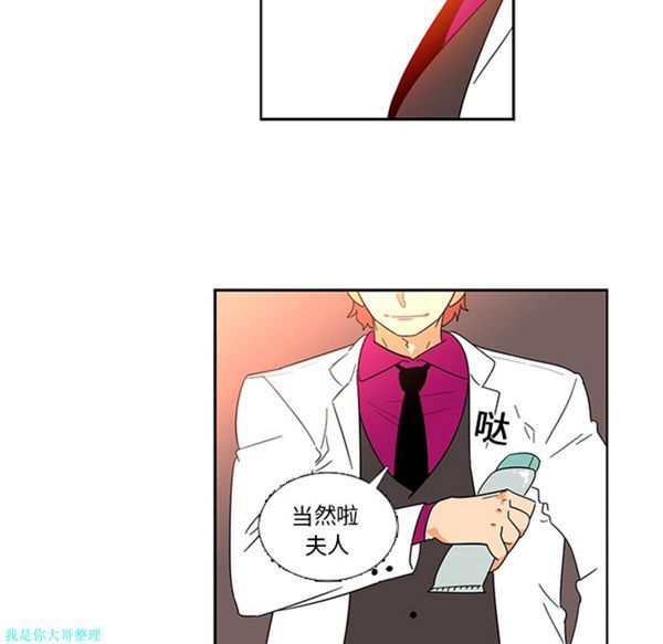 巧手妇产科 第16话 第37页