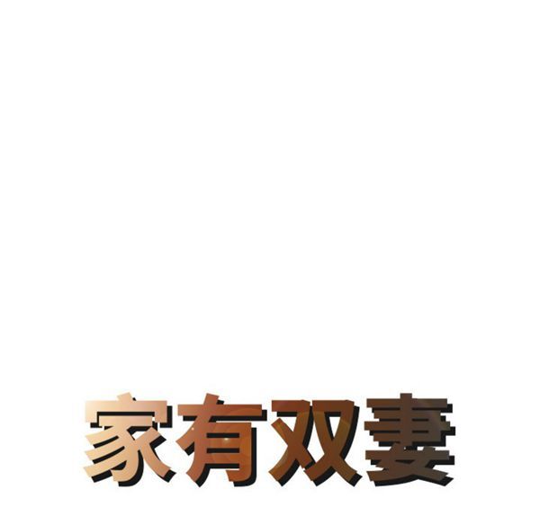 两个老婆(家有双妻) 第15话 第8页
