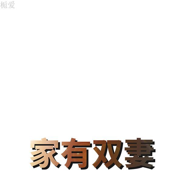 两个老婆(家有双妻) 第13话 第8页
