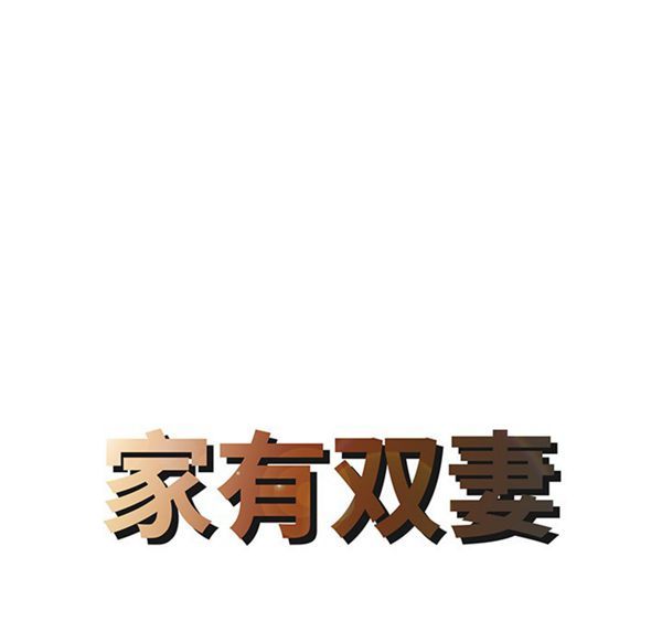 两个老婆(家有双妻) 第20话 第8页