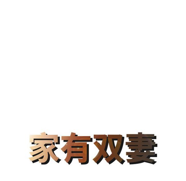 两个老婆(家有双妻) 第26话 第8页