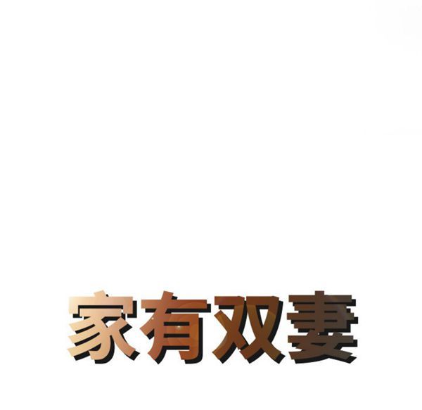 两个老婆(家有双妻) 第27话 第8页