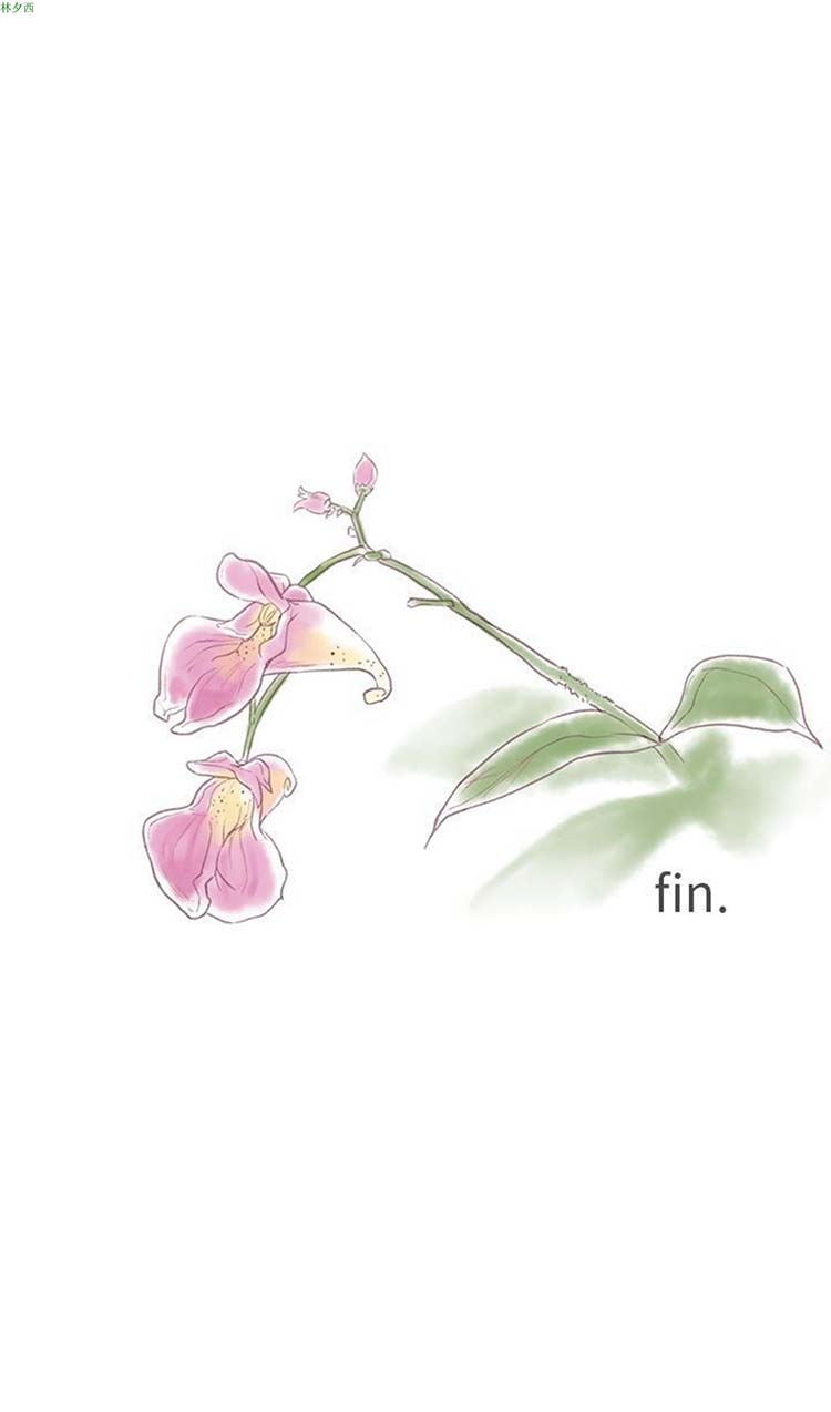 [BL]水凤仙 第34话 第29页