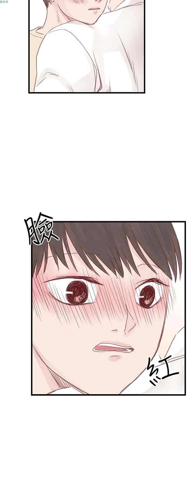 [BL]水凤仙 第19话 第21页