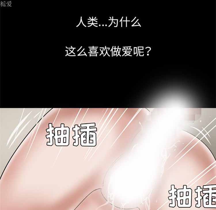 妻子的炮友 第35话 第47页