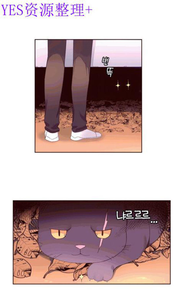 费洛蒙香水之秘香 第41话 第5页