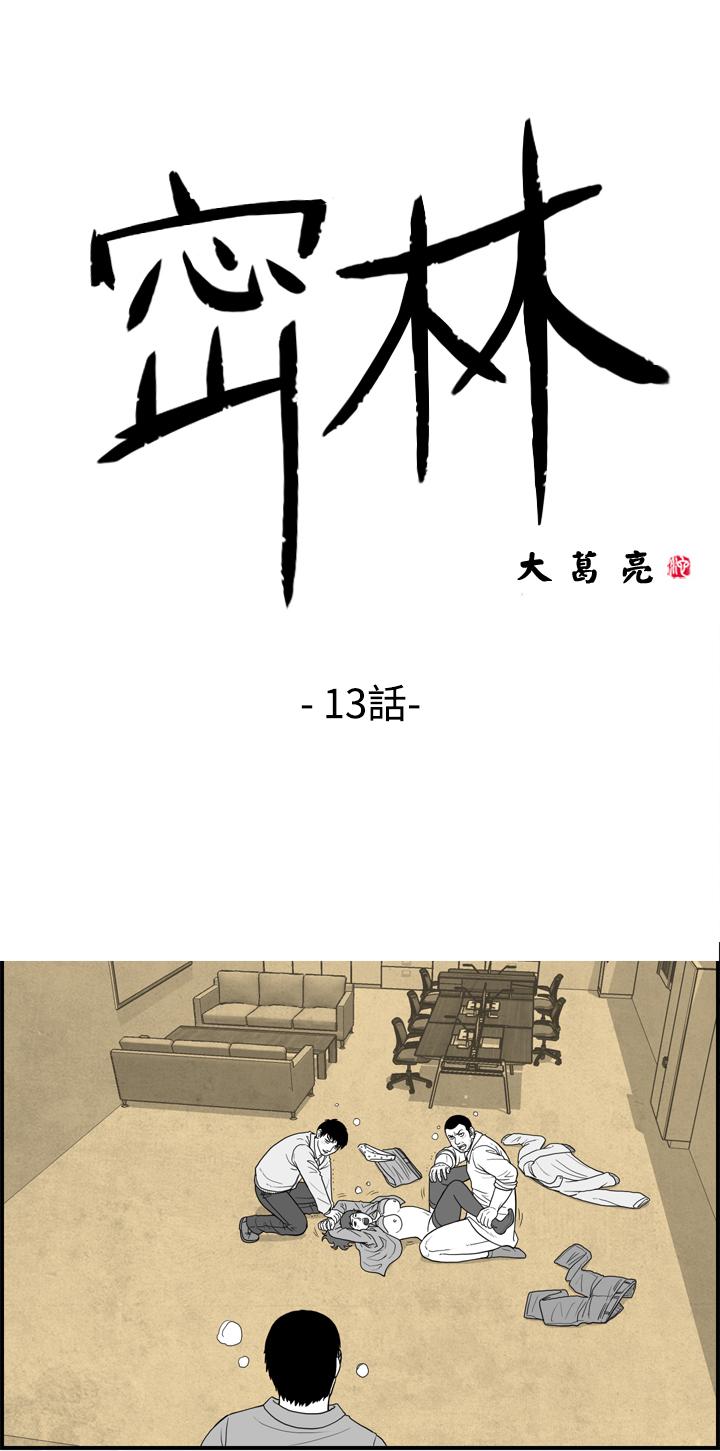 密林 第13章 第2页