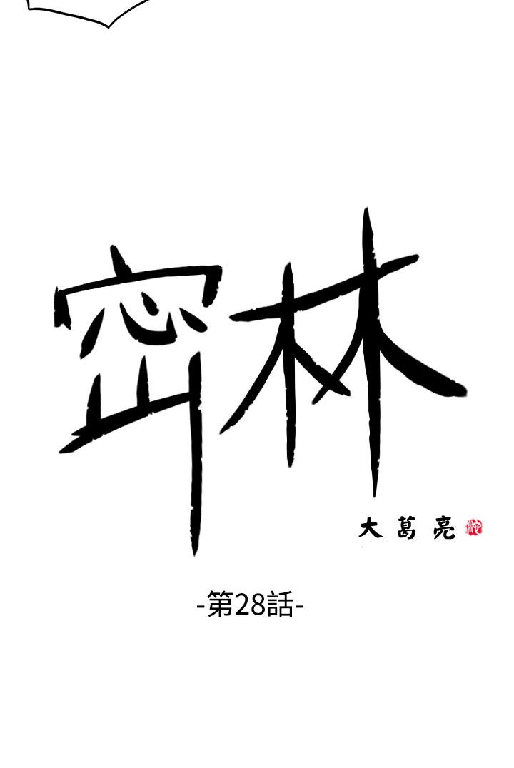 密林 第28章 第2页