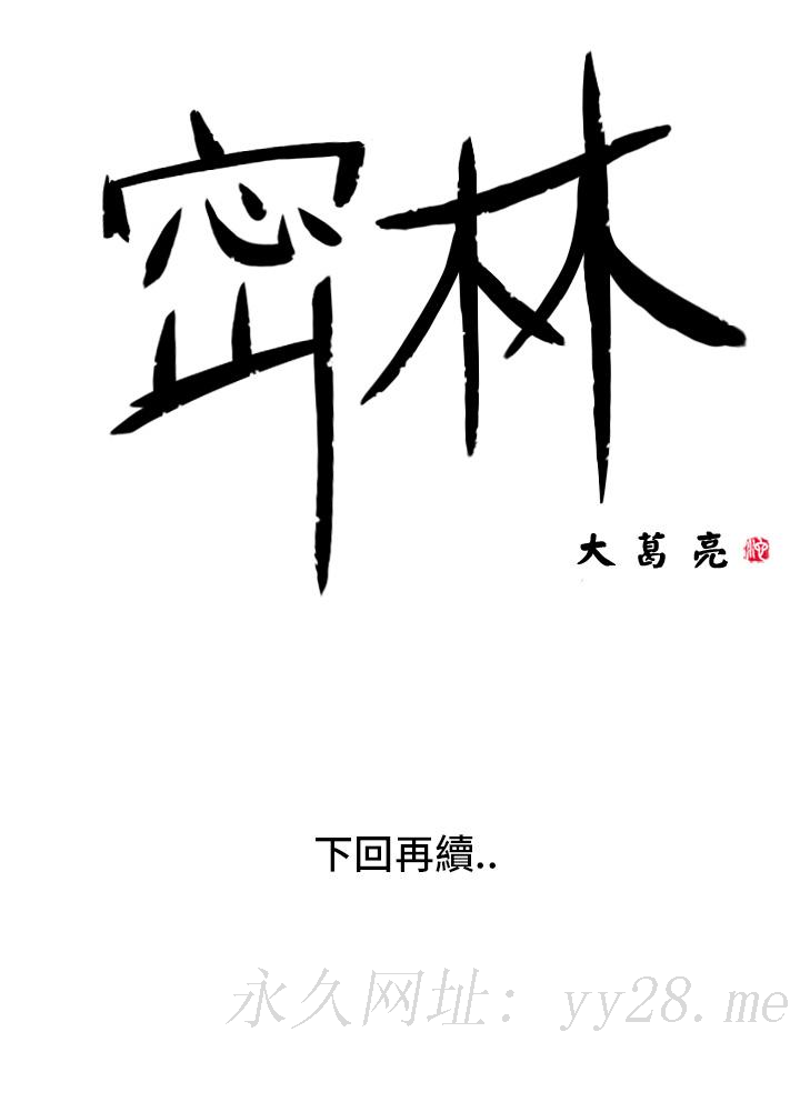 密林 第3章 第21页