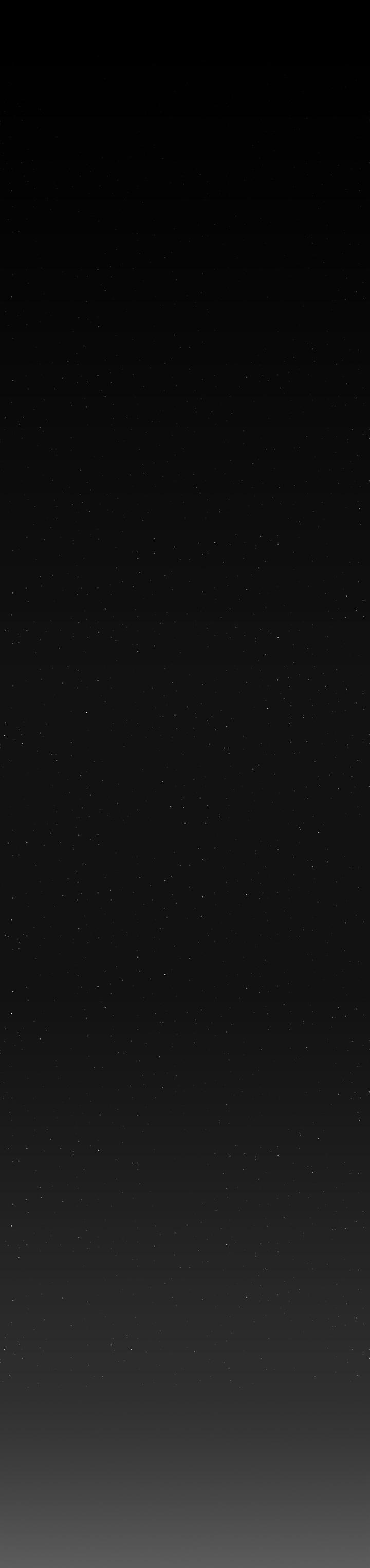 密林 第4章 第11页