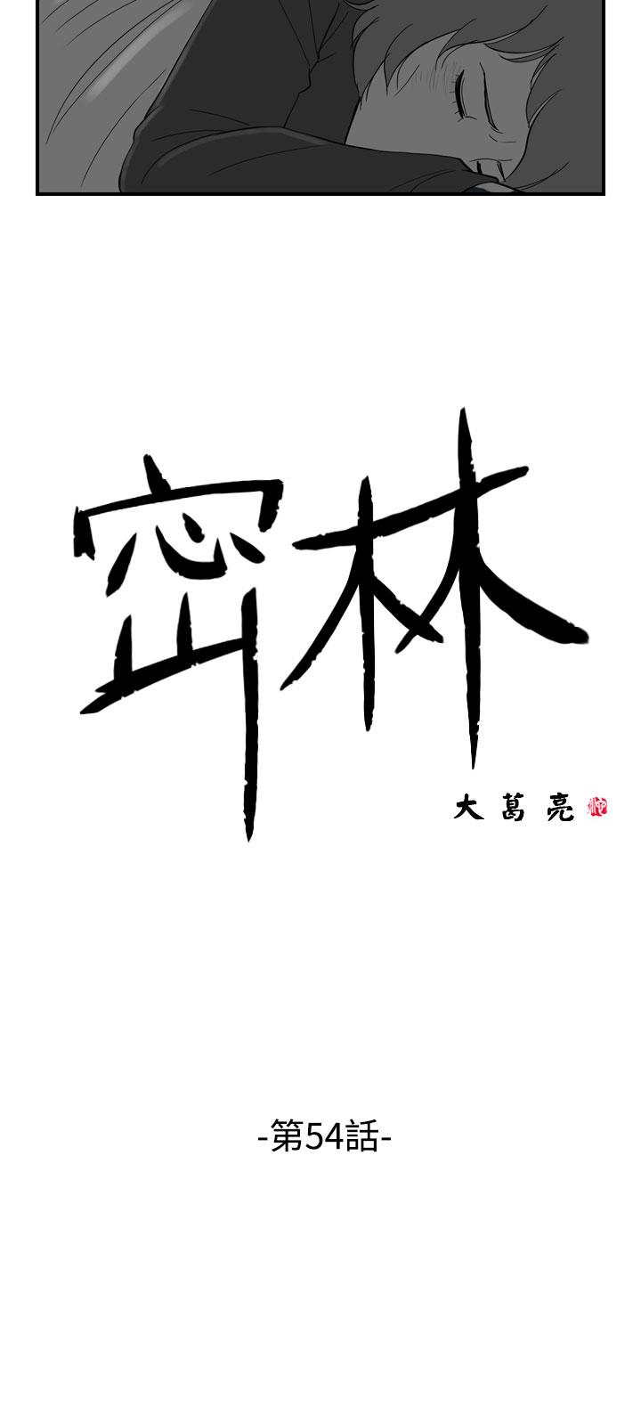 密林 第54章 第2页