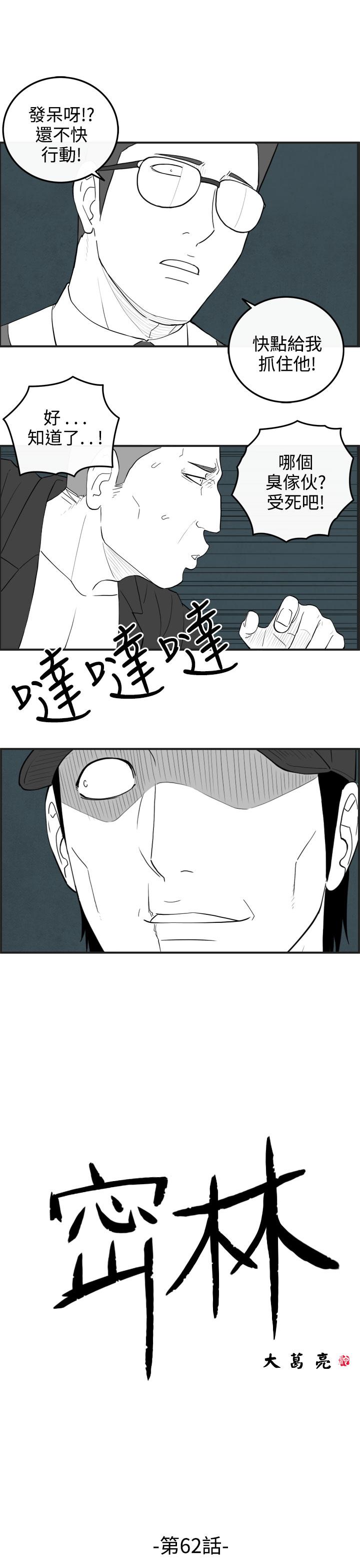 密林 第62章 第1页