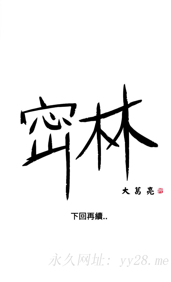 密林 第6章 第16页