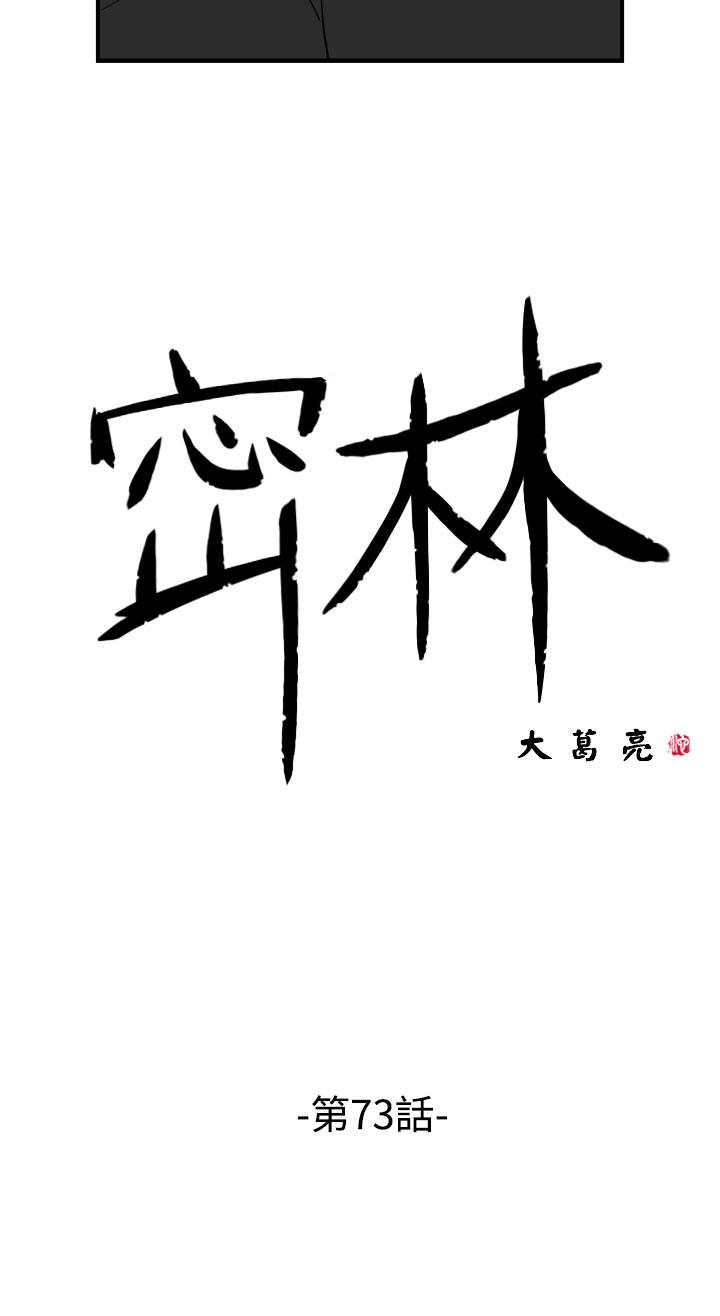 密林 第73章 第2页