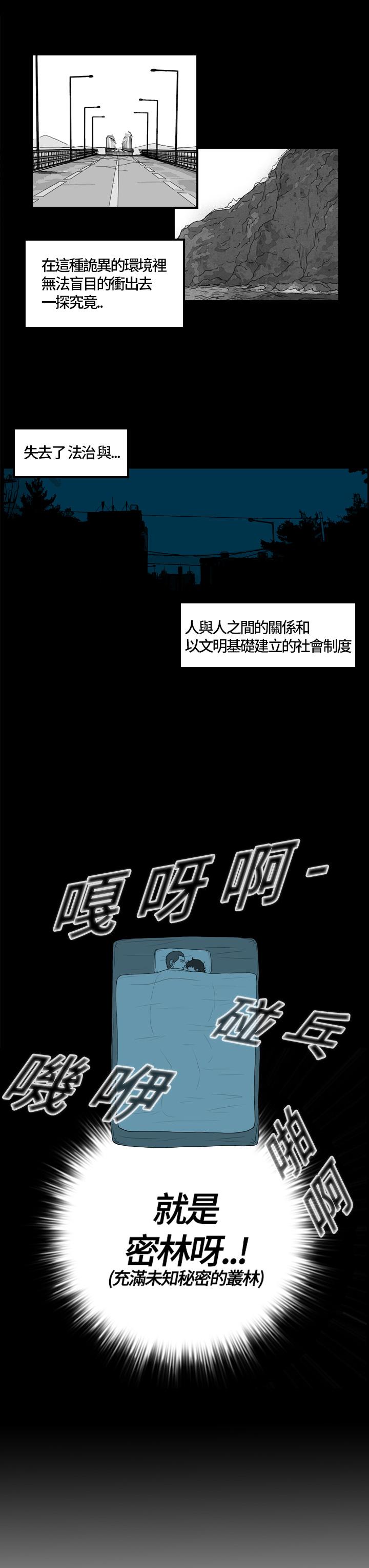 密林 第9章 第1页