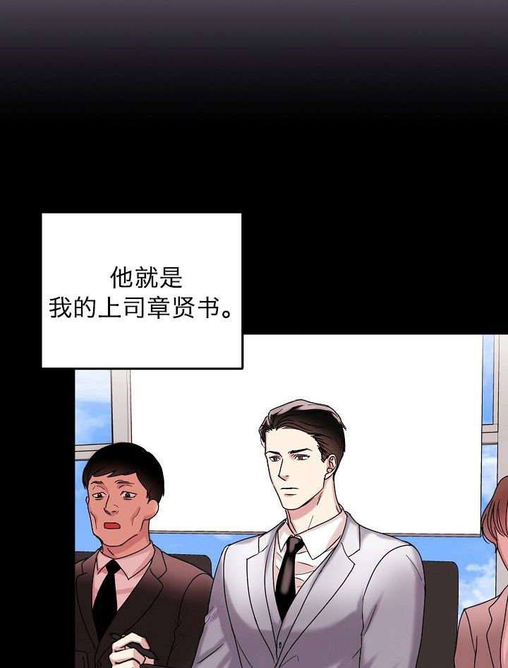 总裁秘书不好当/安全伙伴 第74话 第13页