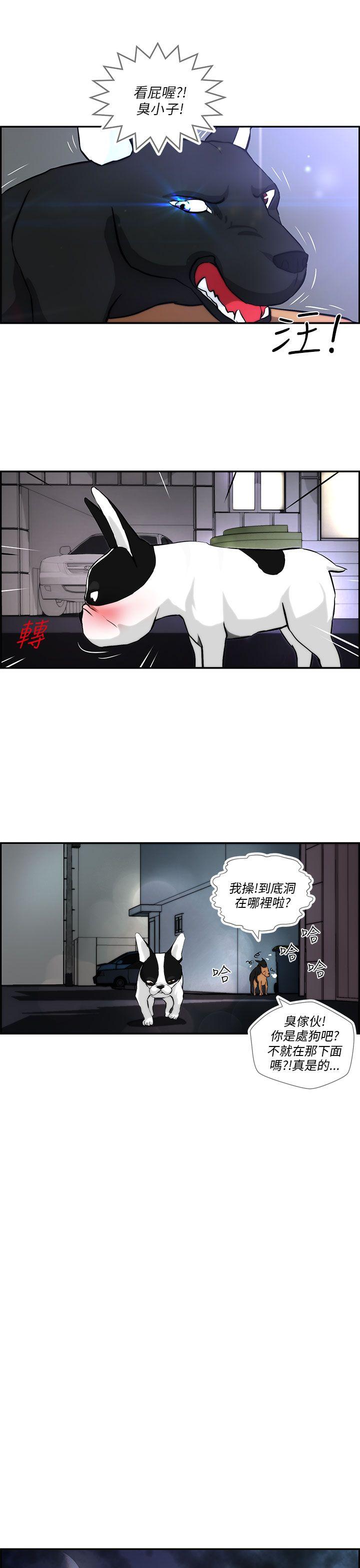 变成狗的男人(物种转换) 第3話 第9页