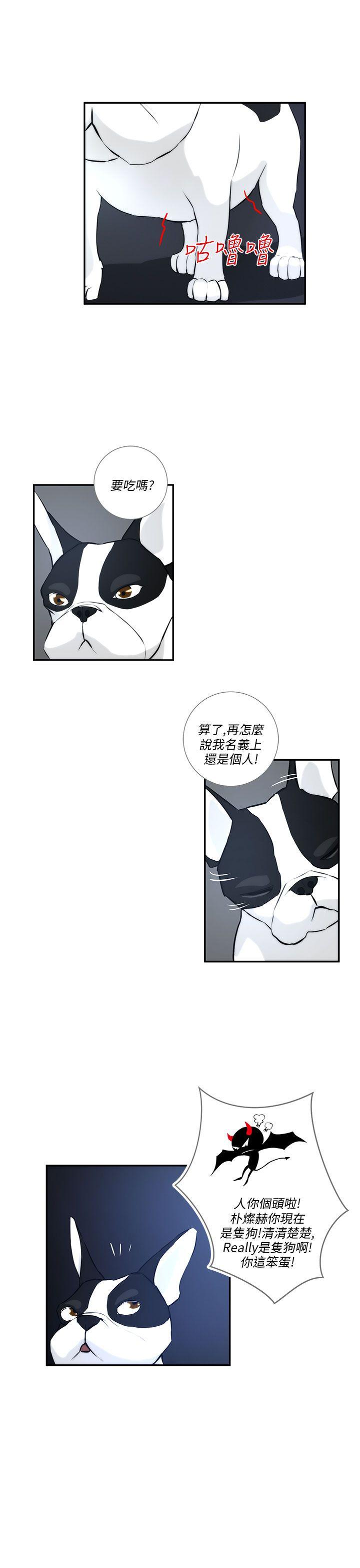 变成狗的男人(物种转换) 第3話 第11页