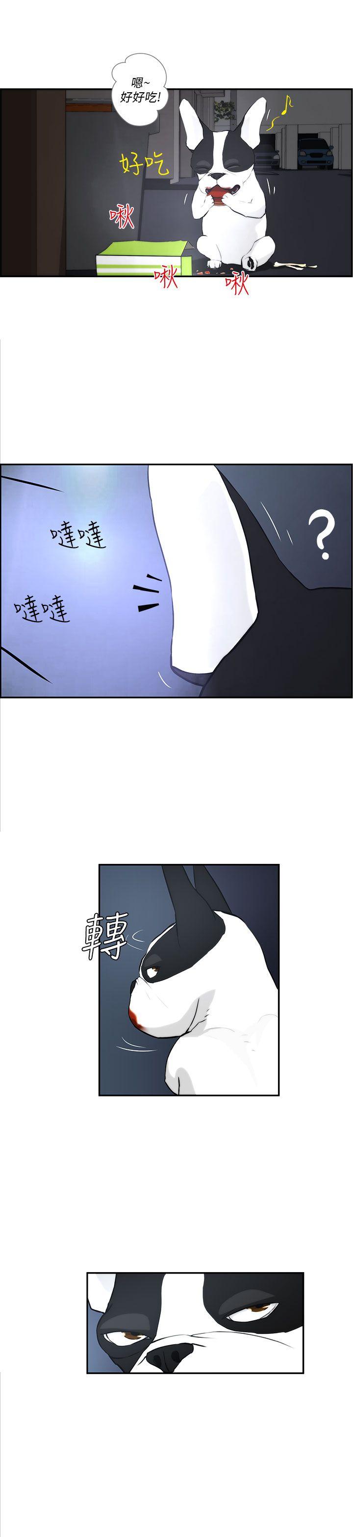 变成狗的男人(物种转换) 第3話 第13页