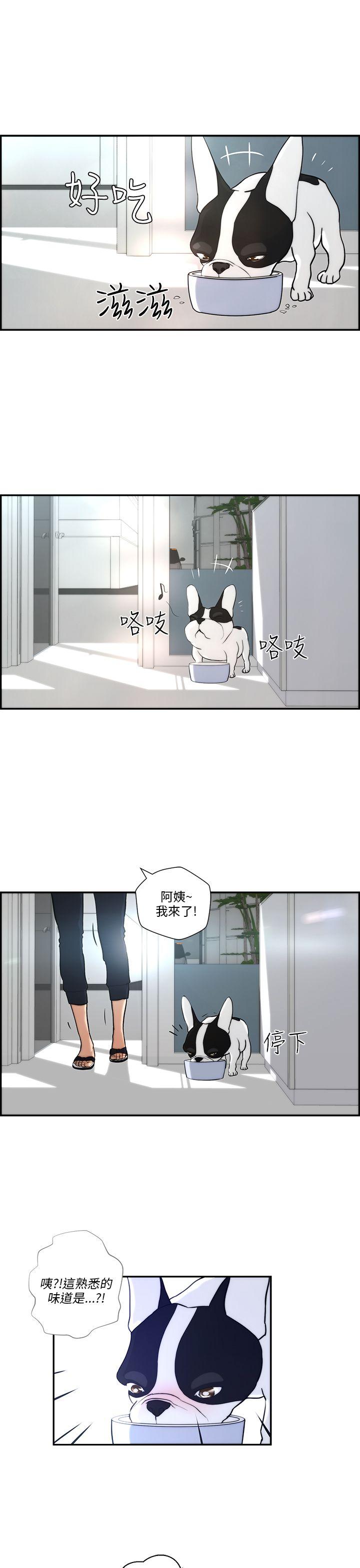变成狗的男人(物种转换) 第4話 第21页