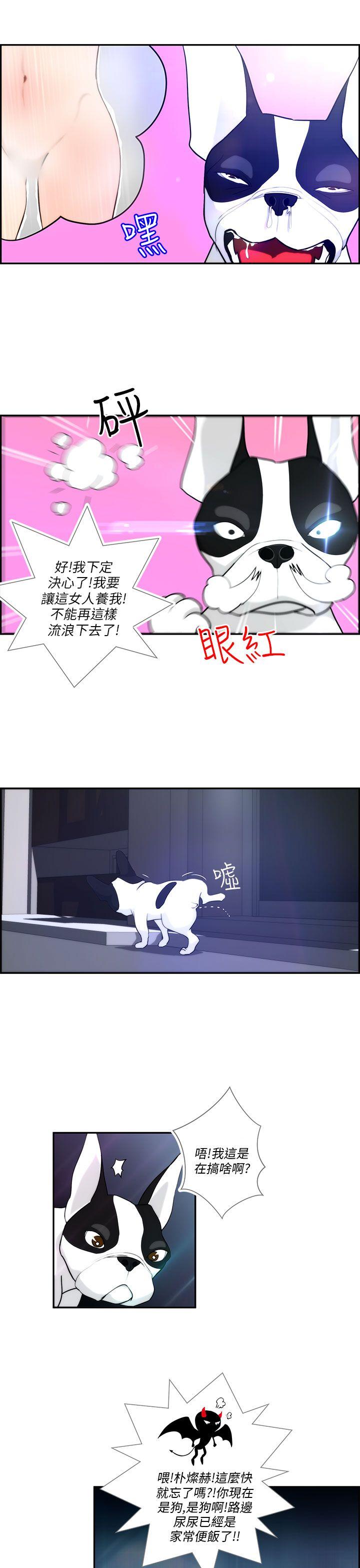 变成狗的男人(物种转换) 第4話 第5页