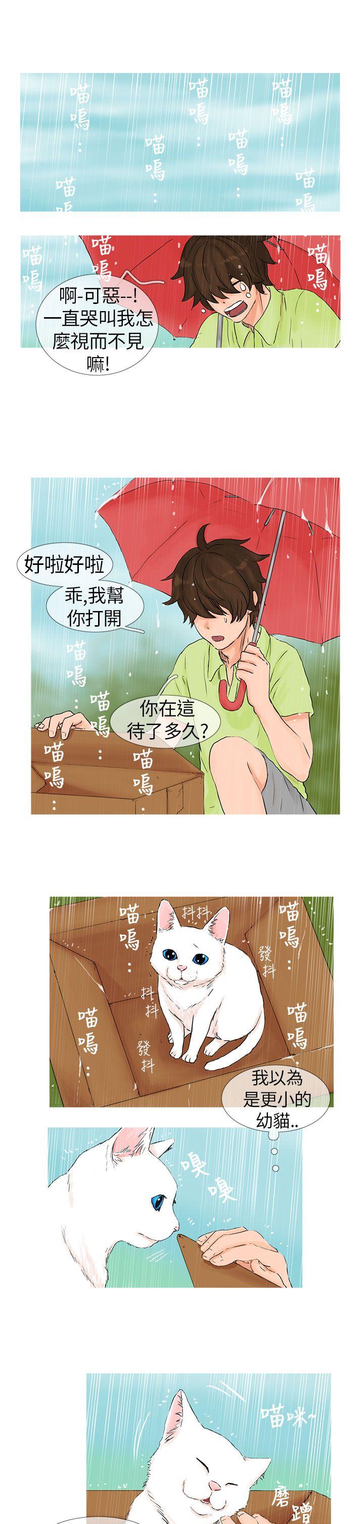 小野猫驯服手册 第1話 第5页