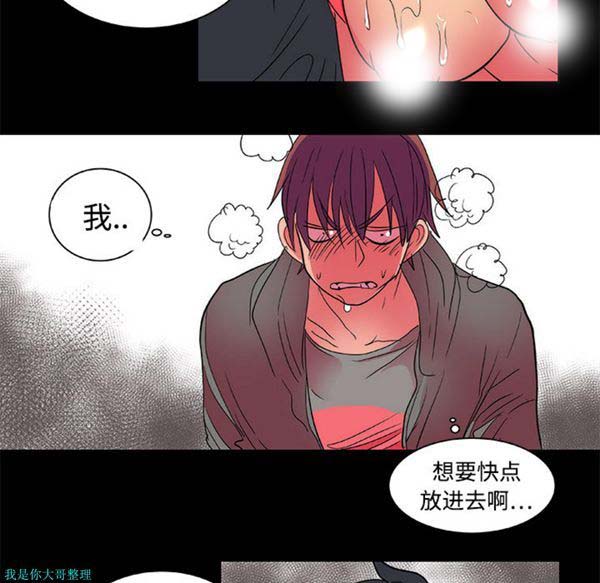 成人竞技场 第12话 第15页