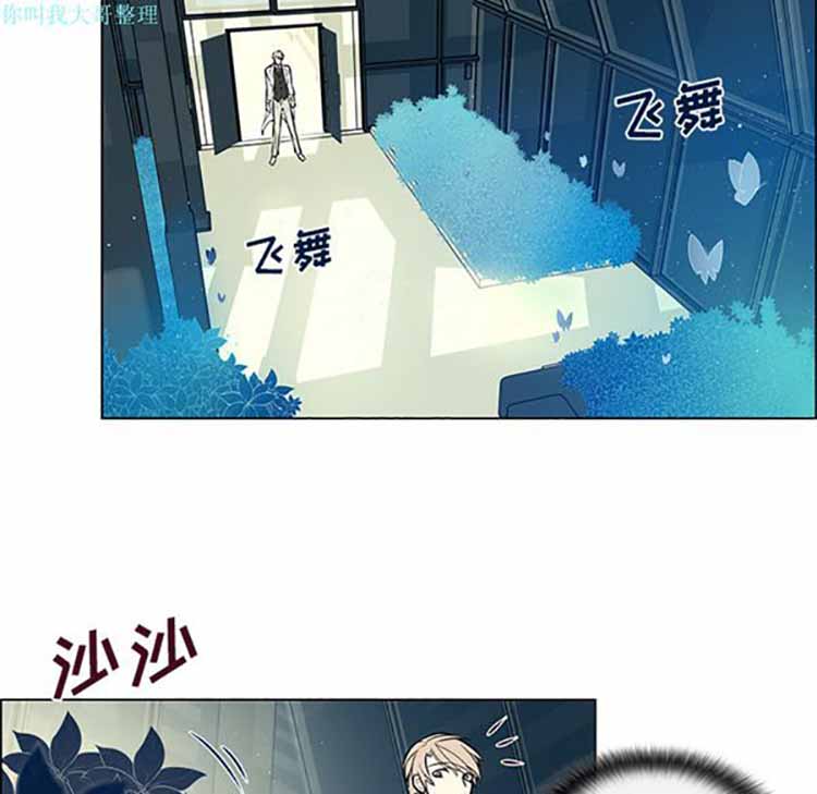 Settia（BL） 第13话 第31页