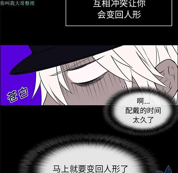 Settia（BL） 第10话 第5页