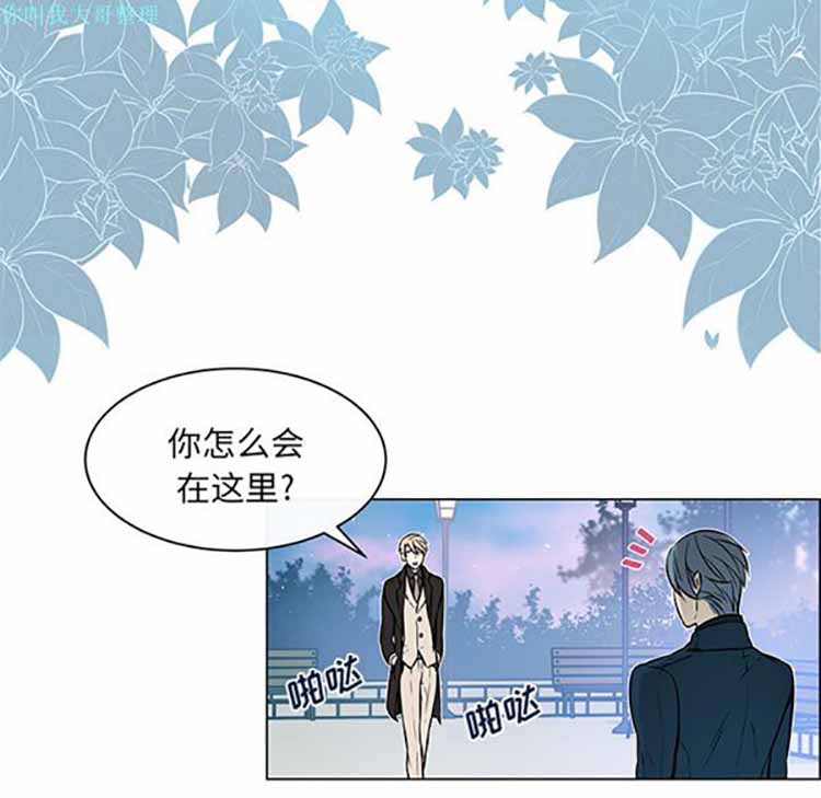 Settia（BL） 第19话 第6页